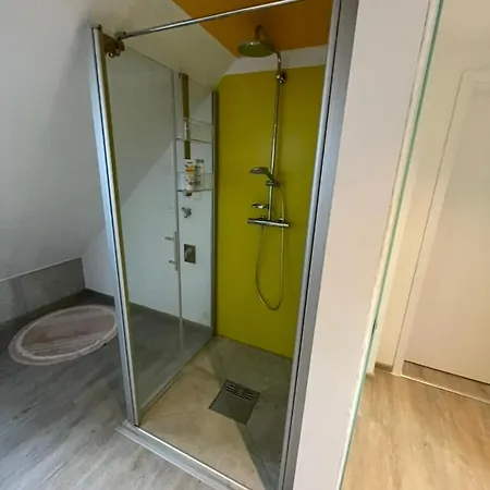 Dach-etagenwohnung Mit Ausblick Nach Basel Und Ins Elsass Apartamento