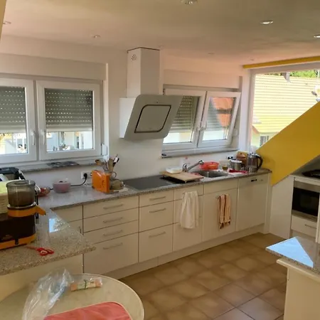 Dach-etagenwohnung Mit Ausblick Nach Basel Und Ins Elsass Apartamento Inzlingen
