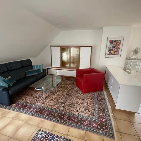 Dach-etagenwohnung Mit Ausblick Nach Basel Und Ins Elsass