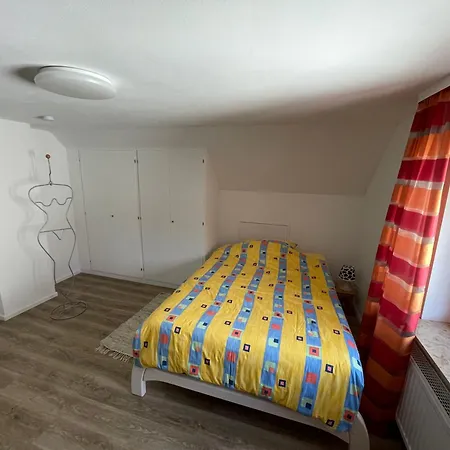 Dach-etagenwohnung Mit Ausblick Nach Basel Und Ins Elsass Apartamento *