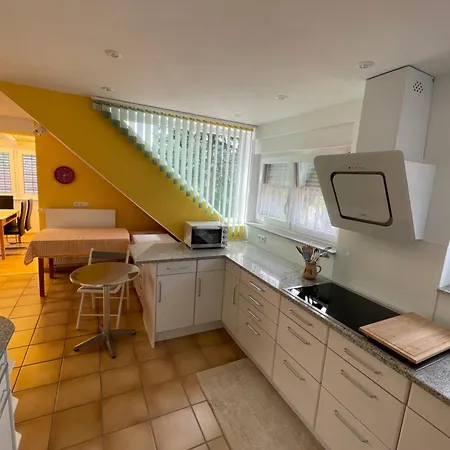 Apartamento Dach-etagenwohnung Mit Ausblick Nach Basel Und Ins Elsass *